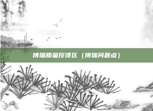 博瑞质量反馈区（博瑞问题点）