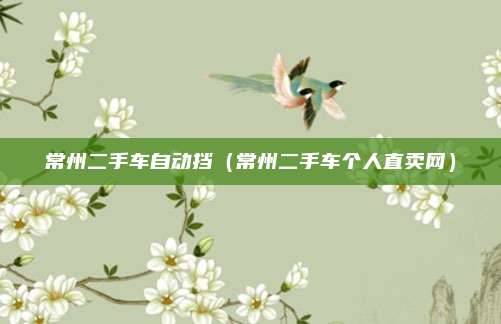 常州二手车自动挡(常州二手车个人直卖网)