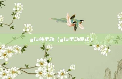 gla纯手动(gla手动模式)