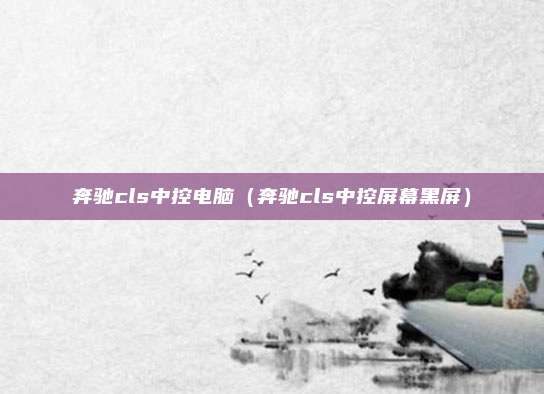 奔驰cls中控电脑(奔驰cls中控屏幕黑屏)