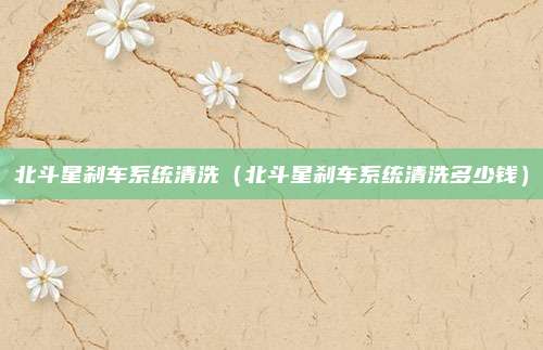 北斗星刹车系统清洗（北斗星刹车系统清洗多少钱）