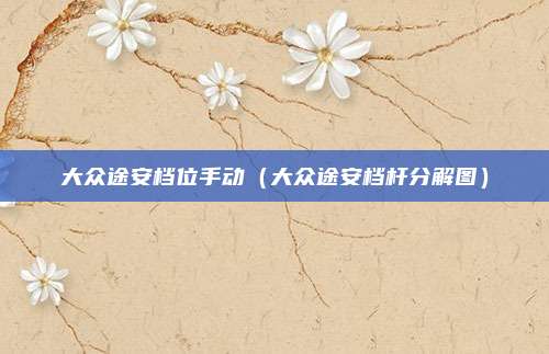 大众途安档位手动(大众途安档杆分解图)
