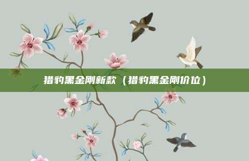 猎豹黑金刚新款(猎豹黑金刚价位)