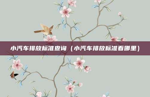 小汽车排放标准查询（小汽车排放标准看哪里）