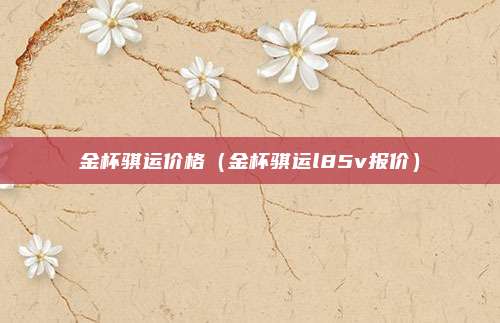 金杯骐运价格（金杯骐运l85v报价）