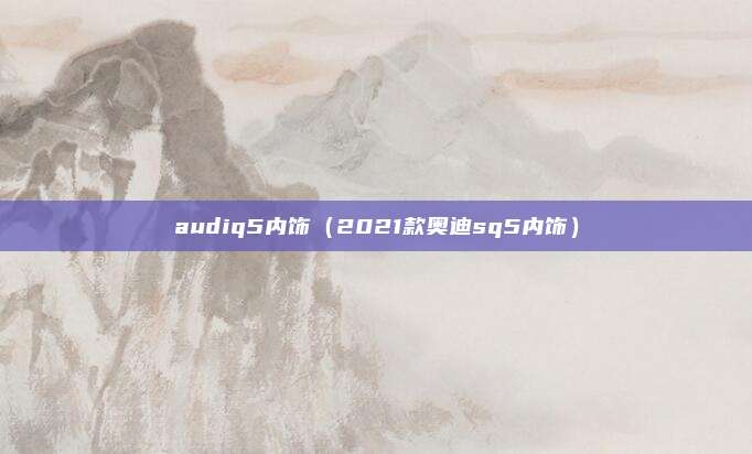 audiq5内饰(2021款奥迪sq5内饰)