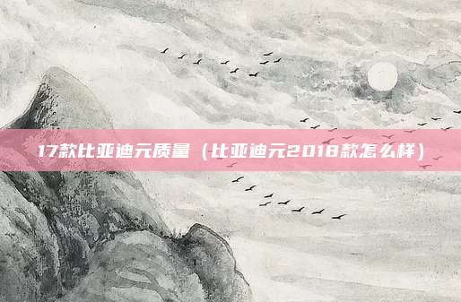 17款比亚迪元质量(比亚迪元2018款怎么样)