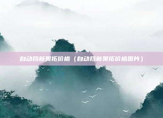 自动挡新奥拓价格(自动挡新奥拓价格图片)