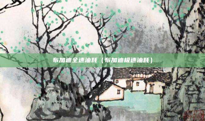 布加迪全速油耗(布加迪极速油耗)