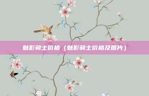 魅影骑士价格(魅影骑士价格及图片)