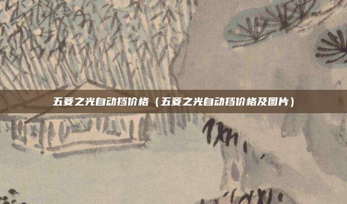 五菱之光自动挡价格（五菱之光自动挡价格及图片）