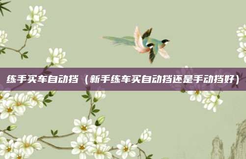 练手买车自动挡（新手练车买自动挡还是手动挡好）