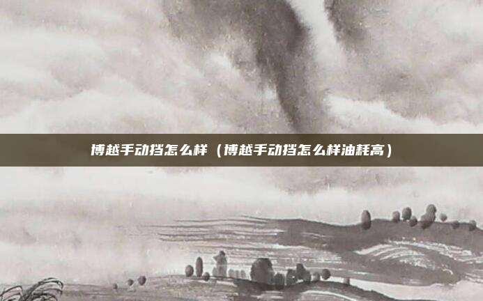 博越手动挡怎么样（博越手动挡怎么样油耗高）