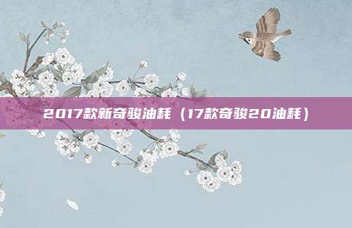2017款新奇骏油耗（17款奇骏20油耗）