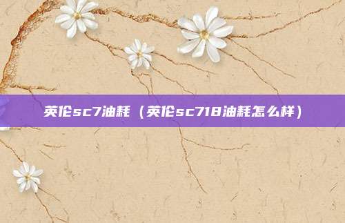 英伦sc7油耗（英伦sc718油耗怎么样）