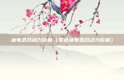 油电混合动力价格（星途油电混合动力价格）