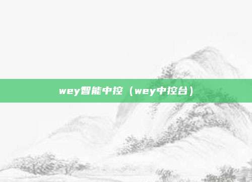 wey智能中控(wey中控台)