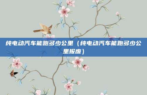 纯电动汽车能跑多少公里（纯电动汽车能跑多少公里报废）