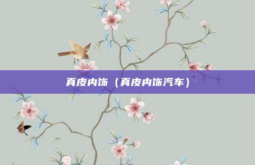 真皮内饰(真皮内饰汽车)