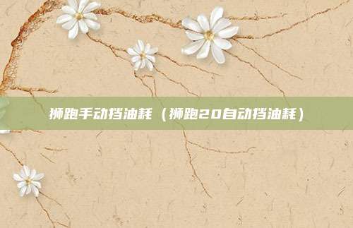 狮跑手动挡油耗（狮跑20自动挡油耗）