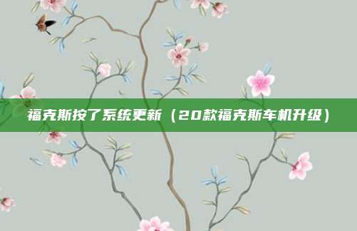 福克斯按了系统更新（20款福克斯车机升级）