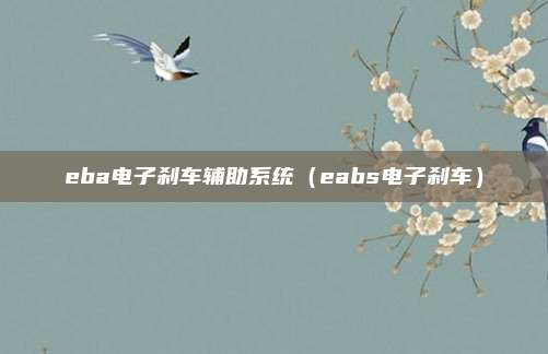 eba电子刹车辅助系统(eabs电子刹车)