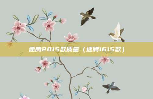 速腾2015款质量(速腾1615款)