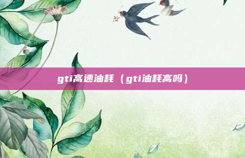 gti高速油耗（gti油耗高吗）