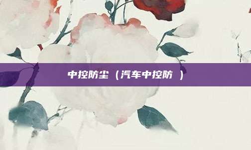 中控防尘（汽车中控防嗮）