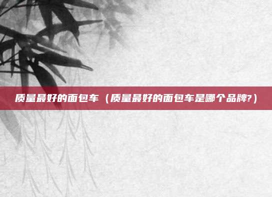 质量最好的面包车（质量最好的面包车是哪个品牌?）