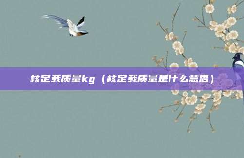 核定载质量kg（核定载质量是什么意思）
