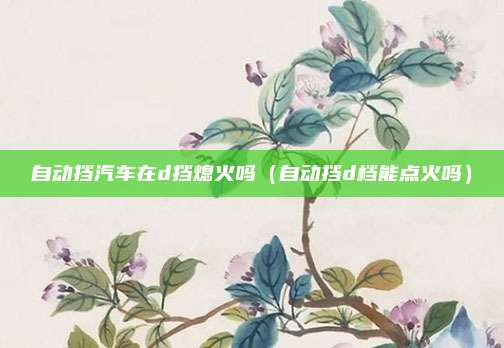 自动挡汽车在d挡熄火吗(自动挡d档能点火吗)