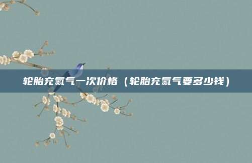 轮胎充氮气一次价格（轮胎充氮气要多少钱）
