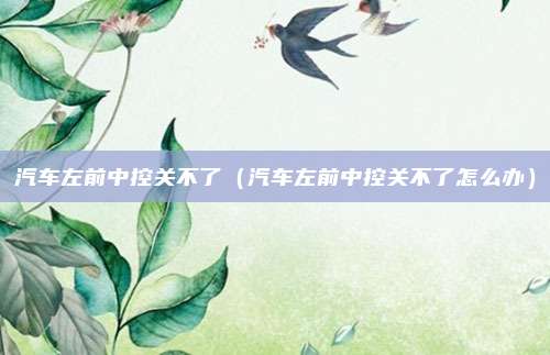 汽车左前中控关不了(汽车左前中控关不了怎么办)