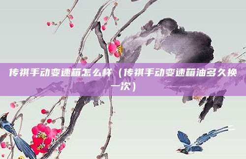 传祺手动变速箱怎么样(传祺手动变速箱油多久换一次)