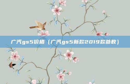 广汽gs5价格（广汽gs5新款2019款参数）