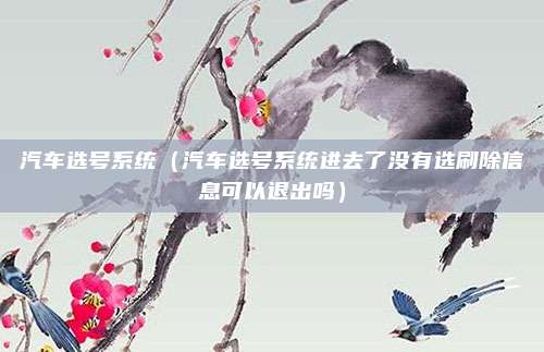 汽车选号系统（汽车选号系统进去了没有选刷除信息可以退出吗）
