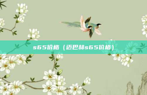 s65价格（迈巴赫s65价格）