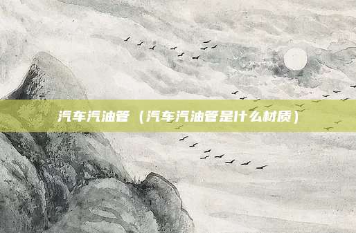 汽车汽油管(汽车汽油管是什么材质)
