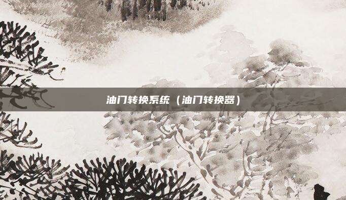油门转换系统(油门转换器)