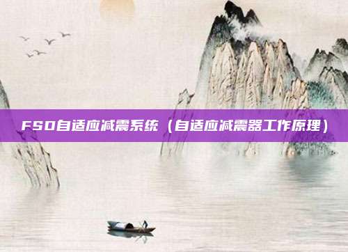 FSD自适应减震系统(自适应减震器工作原理)