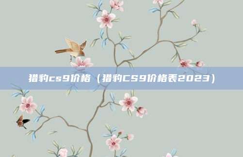 猎豹cs9价格(猎豹CS9价格表2023)