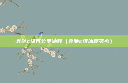 奔驰c级百公里油耗(奔驰c级油耗多少)