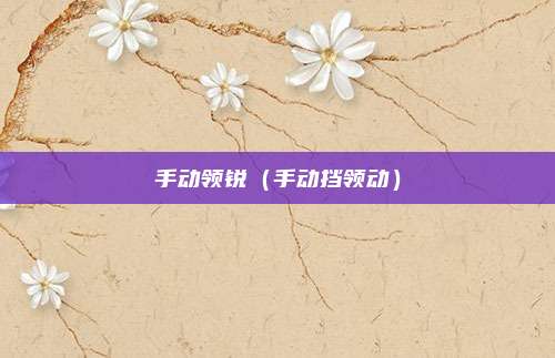 手动领锐（手动挡领动）