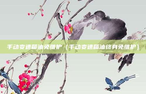 手动变速箱油免维护(手动变速箱油终身免维护)