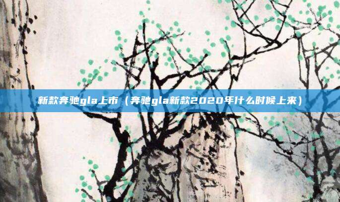 新款奔驰gla上市（奔驰gla新款2020年什么时候上来）