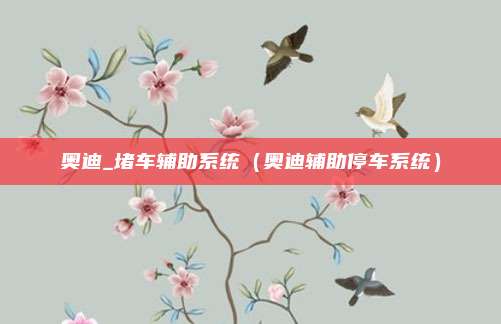 奥迪_堵车辅助系统(奥迪辅助停车系统)