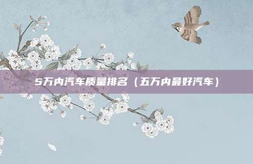 5万内汽车质量排名(五万内最好汽车)