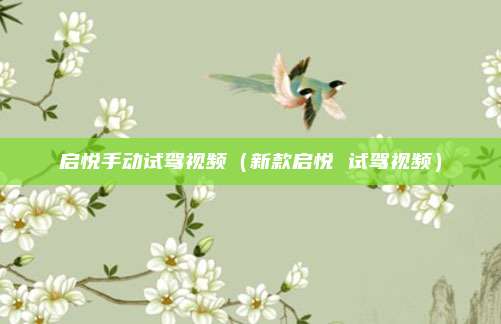启悦手动试驾视频(新款启悦 试驾视频)