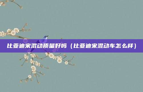 比亚迪宋混动质量好吗（比亚迪宋混动车怎么样）